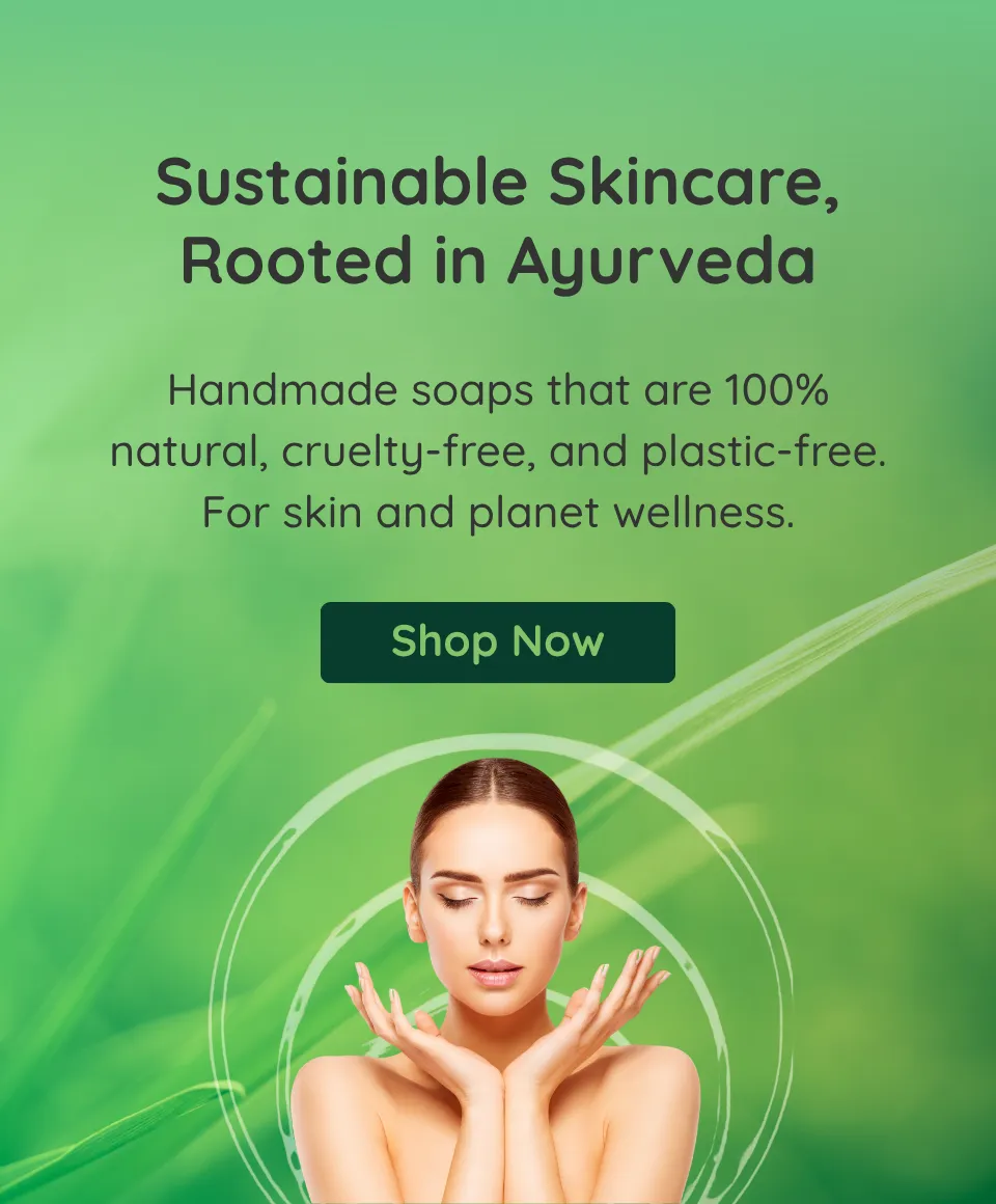 mobile 3.1_converted